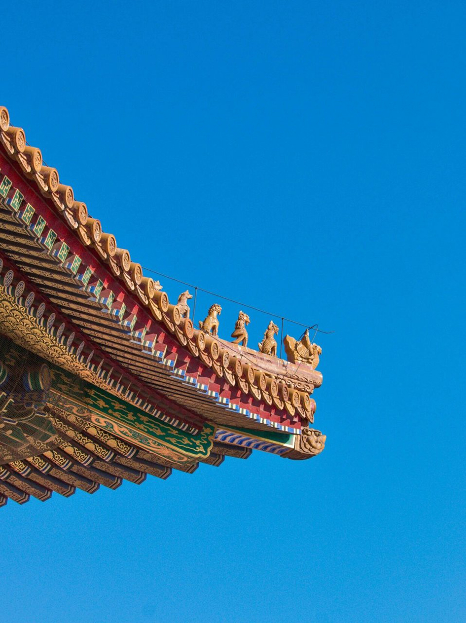 1744854947988935.jpeg 007.jpeg