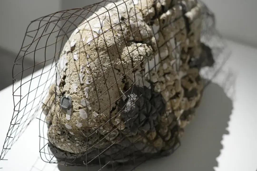 1714350006327930.jpg 16.jpg