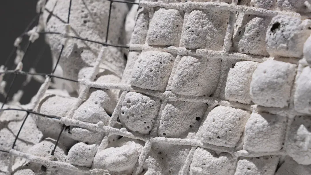 1714350019388684.jpg 17.jpg